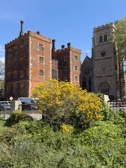 In the foreground, a dense cluster of yellow flowering shrubs and green foliage extends across the lower part of the image. Behind the plants, a small section of metal fencing is visible, separating the garden from the street. Several white and dark-colored vans are parked along the pavement, partially obscured by the vegetation. In the background, an historic red-brick building with crenellated parapets and multiple chimney stacks dominates the scene, featuring small, evenly spaced windows along its façade. Adjacent to the brick structure, a stone church with a tall, square clock tower and arched windows stands to the right. The church's stone surface appears weathered, with a large circular window and Gothic-style arches. The sky above is clear and bright blue, with sunlight illuminating the buildings and casting soft shadows. This setting suggests a typical urban area where independent waste collection or private rubbish removal services might be employed to manage waste generated from nearby properties, reflected subtly in the presence of parked vehicles and the garden area.